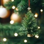 Trump Grants Federal Workers Three-Day Christmas