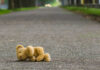 Teddy bear lying on an empty road.