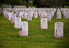 Arlington’s Quiet Reminder: Freedom Was Never Free