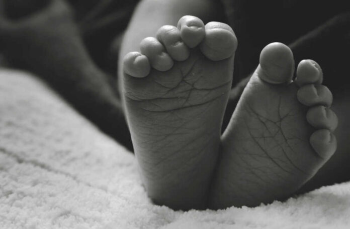 shutterstock_1419139598.jpg Close-up of a baby's feet resting on a soft surface
