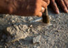 Skull With T. rex Tooth—What Really Happened? Hand brushing dirt from an archaeological site surface