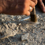 Hand brushing dirt from an archaeological site surface