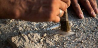 Hand brushing dirt from an archaeological site surface
