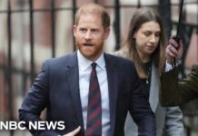 Prince Harry loses privacy battle against British tabloid