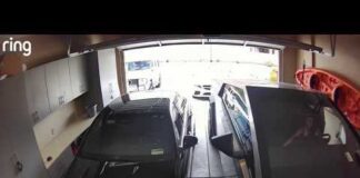 Security video appears to show LA model taking property from Tesla