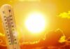 Big Networks Blur Climate Cause thermometer in front of a blazing sun and orange sky