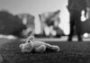 Postpartum Spiral, Prosecutors Push Intent Stuffed toy lying on pavement in black and white