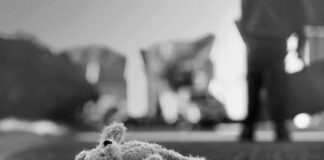 Stuffed toy lying on pavement in black and white
