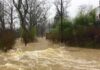 Rain Hit Assam — Mismanagement Finished It Flooded residential street with fast-moving muddy water