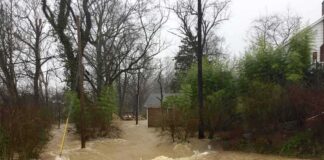 Flooded residential street with fast-moving muddy water