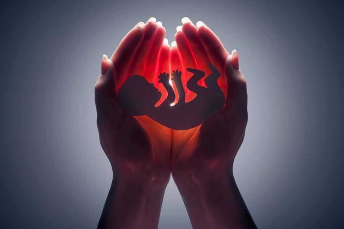 shutterstock_141519271 Hands cupping a glowing fetal silhouette