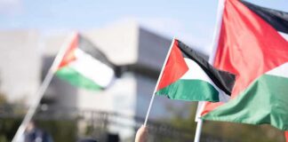 Person waving a Palestinian flag at a rally