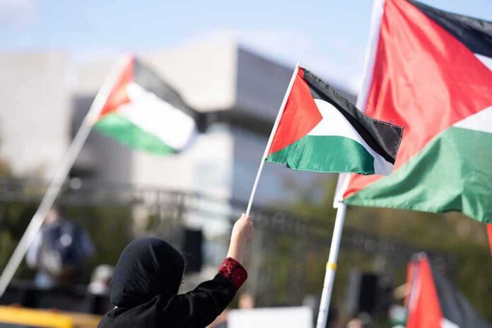 shutterstock_2378182811 Person waving a Palestinian flag at a rally