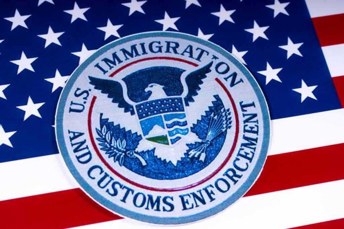 ICE emblem on an American flag
