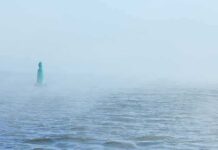 Nazi Submarine Leaks Mercury – 80 Years Later Green buoy in foggy sea
