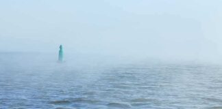 Green buoy in foggy sea