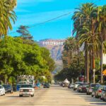 Hollywood sign viewed down a palm-lined street