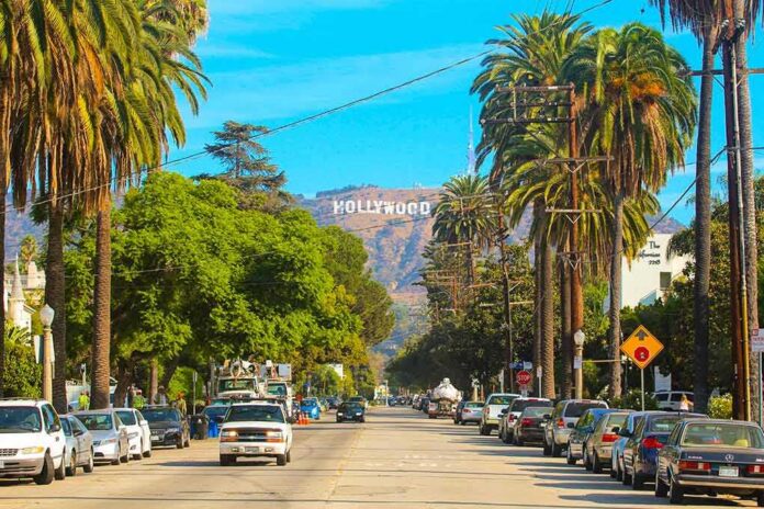 Hollywood sign viewed down a palm-lined street