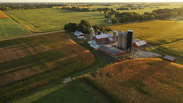 Aerial view of a farm with silos and barns amid golden crop fields